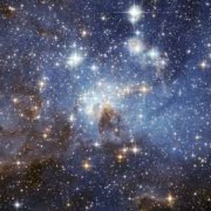 Meet your Posher, Brett